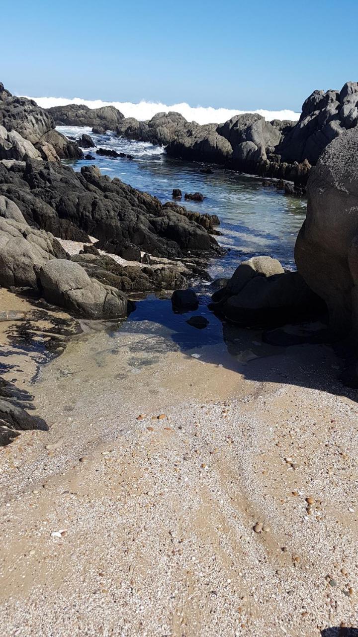 Bed and Breakfast Birds On A Rock Beachview Exteriér fotografie